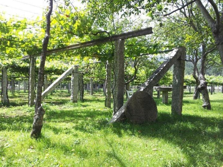 Os Areeiros Turismo Rural & Bodega 산타크리스티나데코브레스 외부 사진